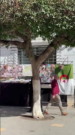 Algiers City | capital city of Algeria | algiers #travel