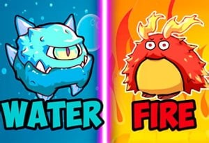 Evolution of the Elements