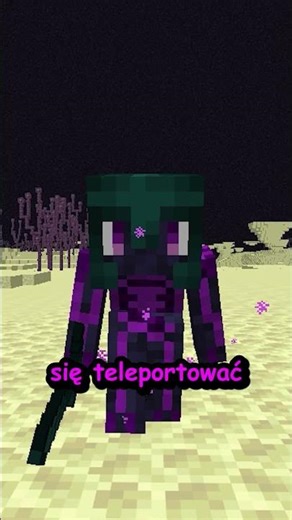 Nowa Ruda z Endu w Minecraft! ⚔️💎