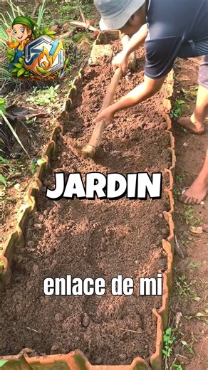 Jardinería y vida | No vuelvas a tirar los restos de tus plantas de plátano. 🍌 Descubre cómo transformar este "desecho" en el mejor aliado para un suelo fértil... | Instagram