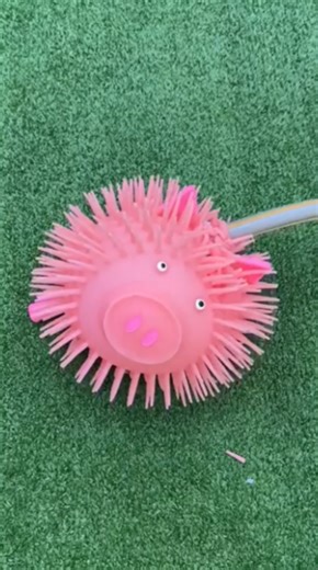 When a simple pig inflation went wrong