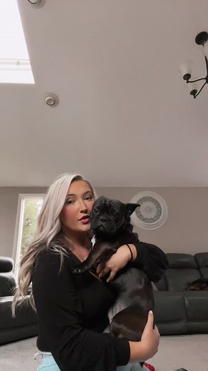 Caring for Your Pug: Interactive Moments with a Pet