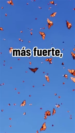 Transformación: De Oruga a Mariposa