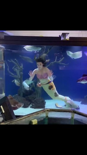 Ouch. #mermaid #mylife #funny #fail #bloopers #blooperreel #behindthescenes #mylife #professionalmermaid #performance #performer #mermaidtail #aquarium #fishtank #fish #h2o #makomermaids #h2ojustaddwater #littlemermaid #ariel #koifish #koi #underwater #swim #swimming #familyguy