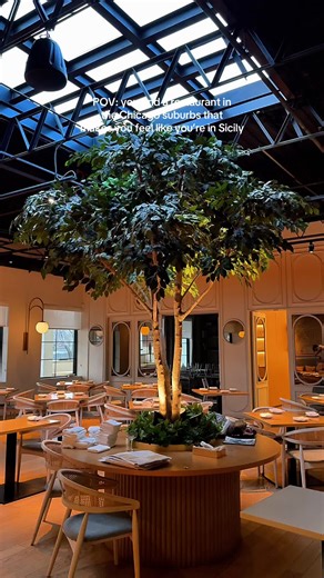 If you’re looking for a romantic Italian dinner spot in the Chicago suburbs that actually feels like a mini vacation @Cefalu Cefalù Seaside Sicilian in Elk Grove Village is one of those hidden gems that makes you forget you’re in the suburbs. From the moment you walk in, it feels like you’ve been transported straight to coastal Sicily If you live in Elk Grove Village, Schaumburg, Itasca, Wood Dale, or anywhere near the northwest suburbs of Chicago, this is the kind of spot you keep in your back 