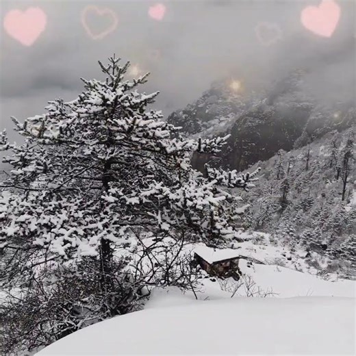 How YouTube Views REALLY Work