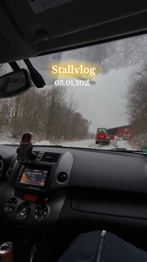 Equestrian Stall Vlog: A Day at the Barn