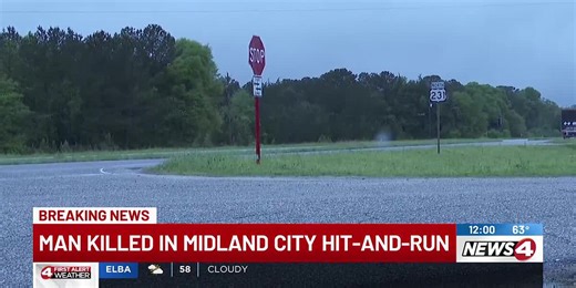 Man killed in Midland City hit-and-run
