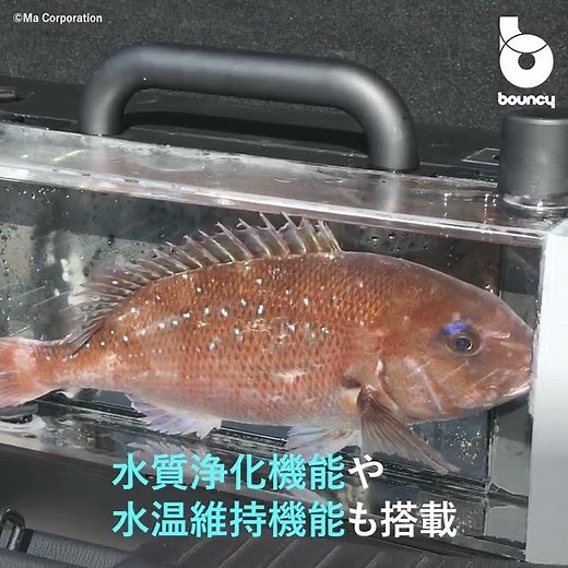 魚を生きたまま持ち運べる！ 生命維持装置を搭載した「活魚BAG」