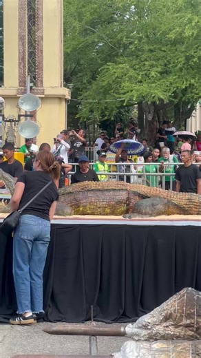 A giant crocodile cake is displayed at San Pedro Square during the "Pray for the Philippines" event on Sunday, September 21, 2025. | via RGP 🎥 AJA #AllYouNeedToKnow | SunStar Davao
