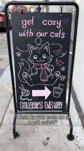 What do you even do at a cat cafe?? The answer is simple... have the best time ever!! But if you want to get specific... you can enjoy a snack and drink, cuddle and play with cats, snap the cutest pictures or even adopt! Would you visit these sweet rescue cats!? 😻 #RescueCat #AdoptDontShop #CatsofInstagram #adoptdontshop #adoptme #catlovers #waitingformyhome #sadcat #fureverhome #adoptdontshop #KittenRescue #catlovers #loveme #adoptme #catlovers #catlovers #sadcat #love #Adopt #AdoptDontShop #R
