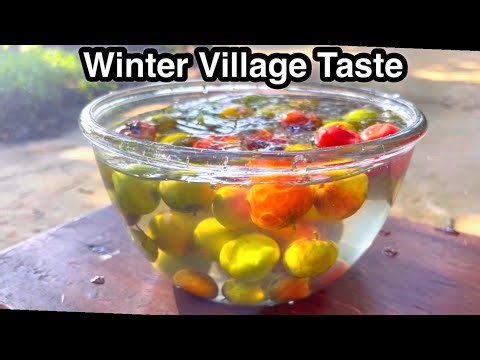 A Winter Morning in Village Life | Garden Harvest & Homemade Jujube Pickle