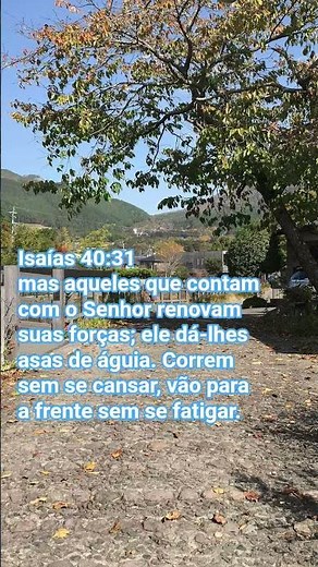 VERSICULOS BÍBLICOS DIÁRIOS 🙏 motivação pessoal e fé 🙏