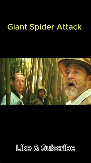 Top Movie Scene | Giant Spider Attack | Kong: Skull Island |