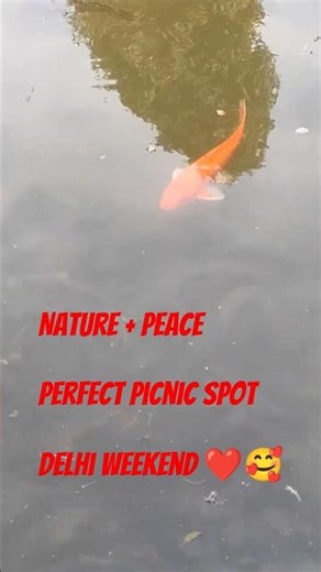 Is This the Most Beautiful Place in Delhi?