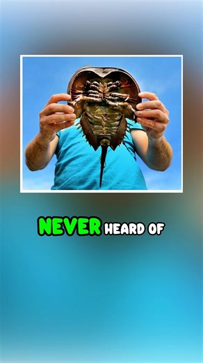 This Creature's Blue Blood Saves Millions of Lives #health #facts