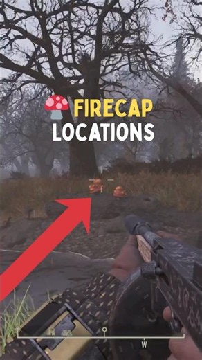 Firecap Locations: Where to Find Firecaps Fast in Fallout 76 🍄 #shorts #fallout76 #gaming