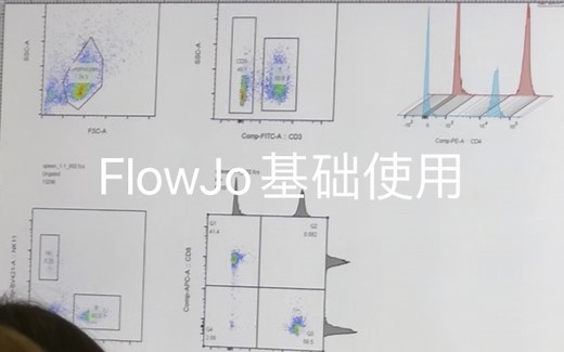 FlowJo使用基础 基本圈门 坐标调整 分组 结果展示layout 图叠加 数据导出 图导出