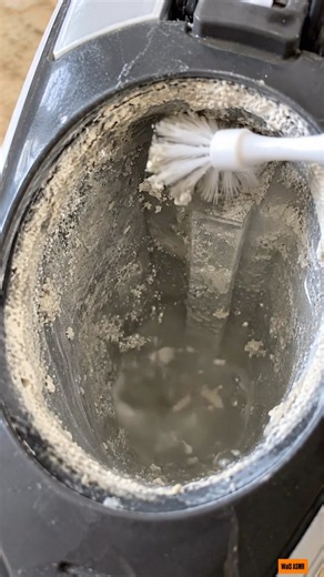 Removing Hard Water Buildup From Inside Tank #DescaleSteamerTank