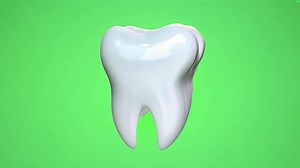 Download 3D rendered tooth shines against a vibrant green background. for free