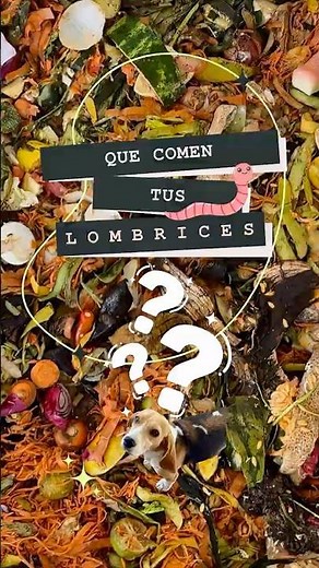 🪱 ¿Qué comen las lombrices? NO les des esto 😱