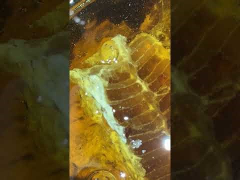 Meditative Honey Filling | Relaxing ASMR Honey Pouring