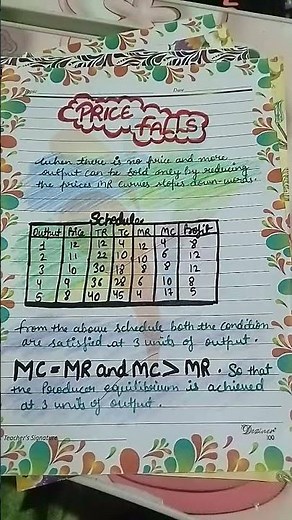 Class 11th economics (micro) project file on producer equilibrium 💫✨
