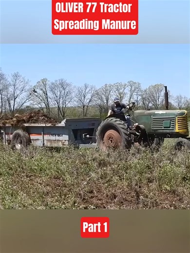 OLIVER 77 Tractor Spreading Manure | Part 1 #Oliver77 #Tractor #SpreadingManure #Farming #Agriculture