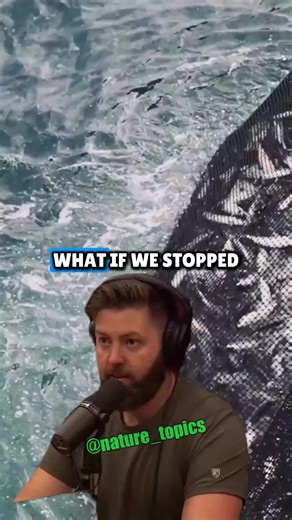 The Shocking Truth About Global Fish Populations