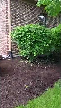 Briggs & Stratton Fortress 12kW Home Standby Generator