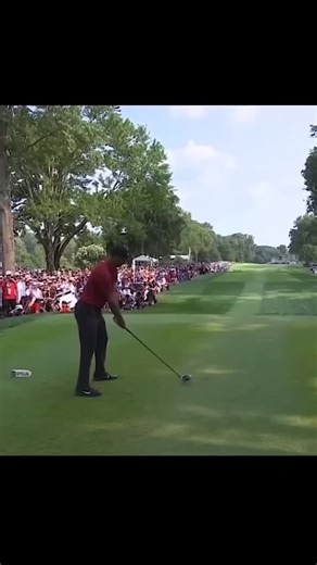 Tiger Woods driver bomb #golf #shorts