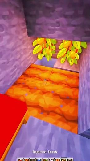 Minecraft Building & Tutorial Guide