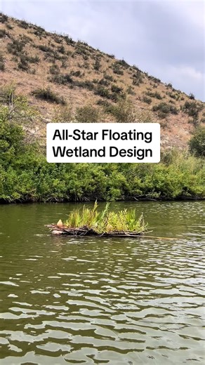 Successful Growth of Our Woven Willow Wetland