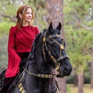 Fancy Horse Bridle Handmade Luxury Cowhide Leather Horse Bridle With 24k Gold Plated Brass Ornaments - Fancy Equestrian Headstall - Etsy