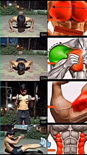 Best Home Exercises for Beginners (NO EQUIPMENT!)