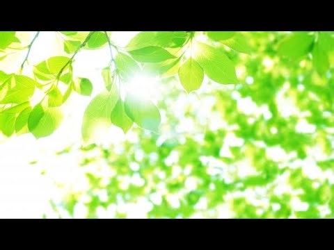 【銅アプデきたよ！】Dashのマイクラ放送【全員集合！】