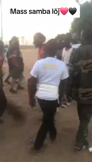 #thiante_baye_darou #chicory #thiante_bayefall