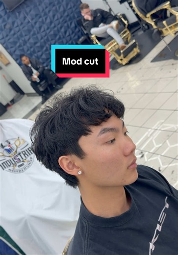 Transformative Mod Cut: Unveiling Texture