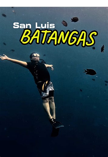 Exploring the Depths: A Journey into Freediving