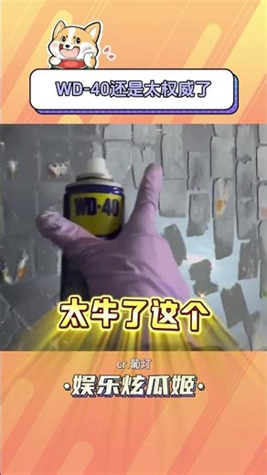 WD-40 Remains the Ultimate Solution: Life Hacks & Official Store