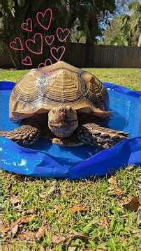 Pardon the chill vibes 🥰💖