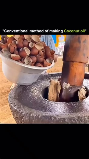 KNOWLEDGE MATRIX on Instagram: "🥥🌿 Conventional Method of Making Coconut Oil 🌿🥥 1. The process begins with mature coconuts, carefully selected for their high oil content. 2. The hard shell is cracked open to remove the white coconut meat. 🔨 3. The meat is washed and grated finely to release its natural oils. 4. Grated coconut is mixed with warm water and hand-pressed to extract coconut milk. 💧 5. The milk is left to settle or gently heated to separate oil from water. 🔥 6. Slow heating cau