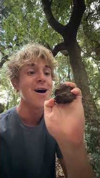 Truffle hunting in Italy #trufflehunting #travelitinerary