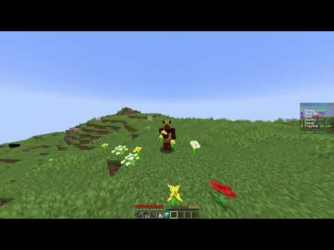 New DonutSMP Dupe unpatched!!!