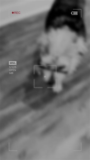 thepeoplevkayla (@keyla_who)’s videos with Livin' My Best Life - Dylan Scott