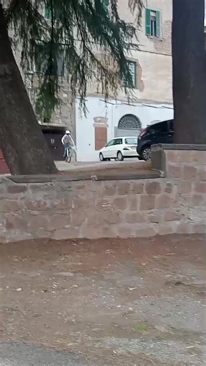 Freeride MTB Adventures with GoPro