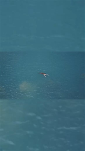 All you have to do is stay 🫂 Watch the full video on YouTube now. | BANKS