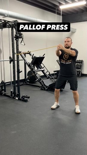 Pallof Press | Anti-Rotation Core Stability & Force Transfer