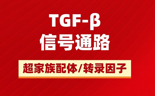 TGF-β信号通路的关键分子—超家族配体和转录因子