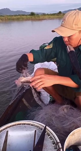 Vietnam Fisherman Life | Net Fishing Catch a lot of Fish | Ep 51. #fyp #fypシ #trending #fishing #fishingvideos #netfishing #fishinglife #vietnam #vietnamfishing